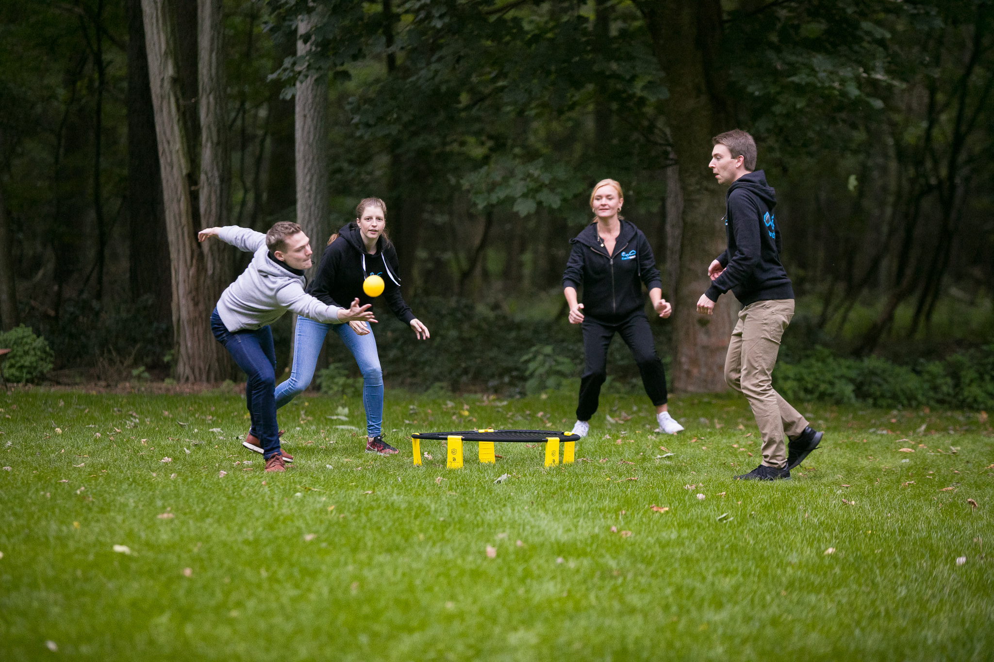 Spikeball